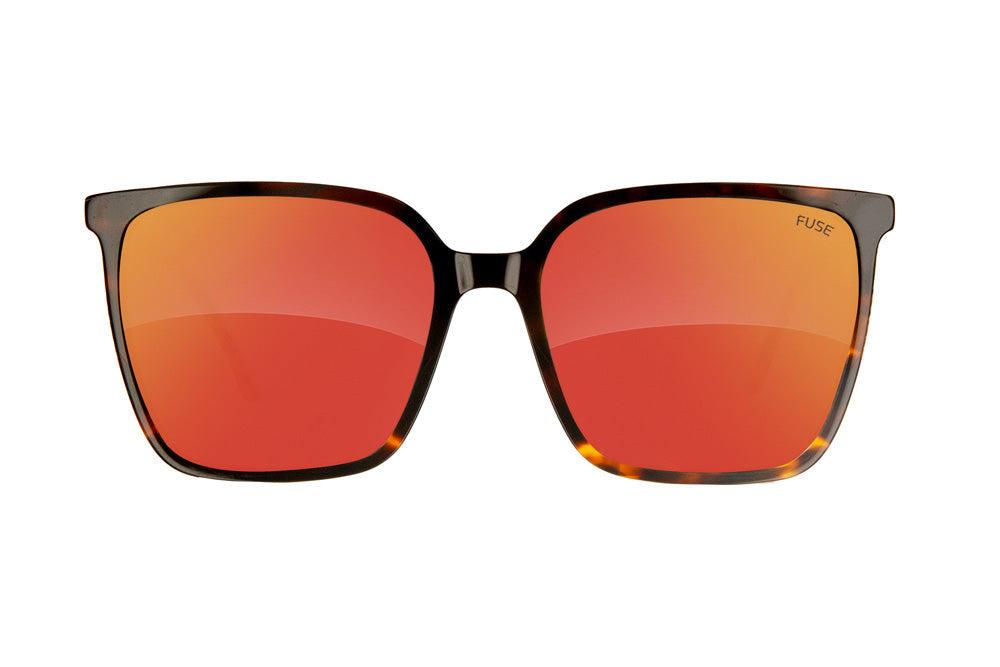 Fuse Melody Sunglasses | Gloss Tortoise